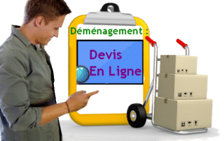 déménagement devis en ligne