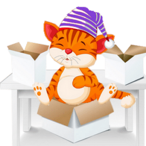 déménager avec un chat sans stress