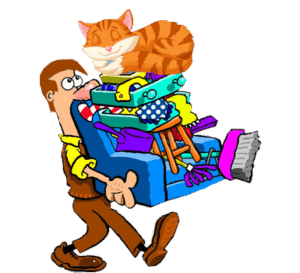 ménager son chat pendant un déménagement