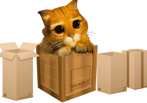 comment déménager avec un chat Comment déménager avec un chat ?