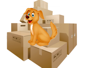 déménager avec son chien