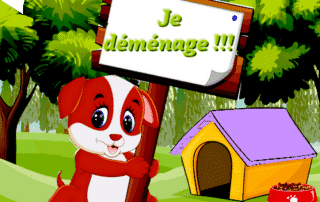 comment déménager avec son chien