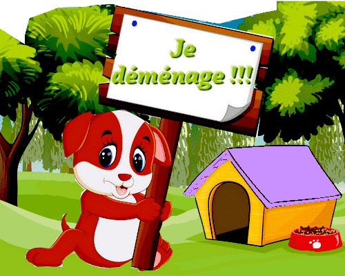 Déménager avec son chien