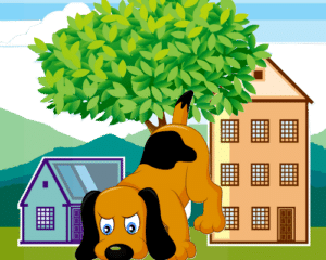 déménager avec son chien