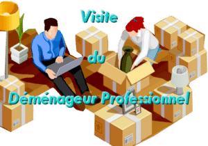 devis déménagement formule low cost