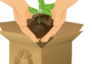 comment déménager ses plantes
