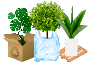 comment déménager ses plantes