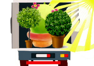 comment déménager ses plantes