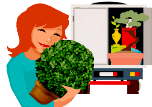 comment déménager ses plantes
