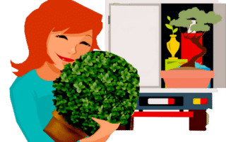 comment déménager ses plantes