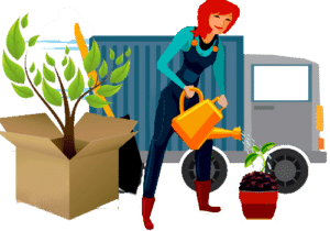 comment déménager ses plantes