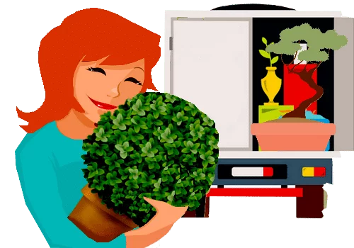 Comment déménager ses plantes