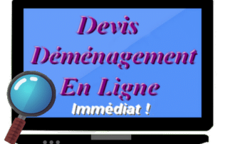 devis déménagement en ligne immédiat
