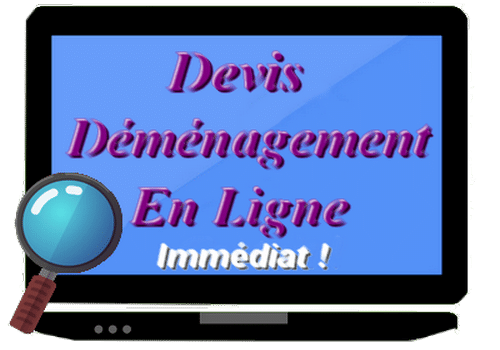 devis déménagement en ligne immédiat