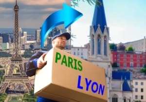 déménagement paris lyon