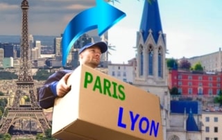 déménagement paris lyon