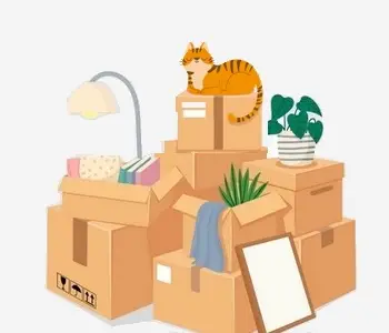 meilleurs cartons pour déménager