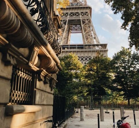demenageur paris